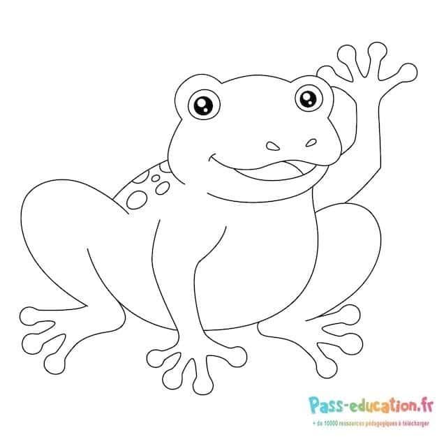 Coloriage Grenouille joyeuse à imprimer et colorier
