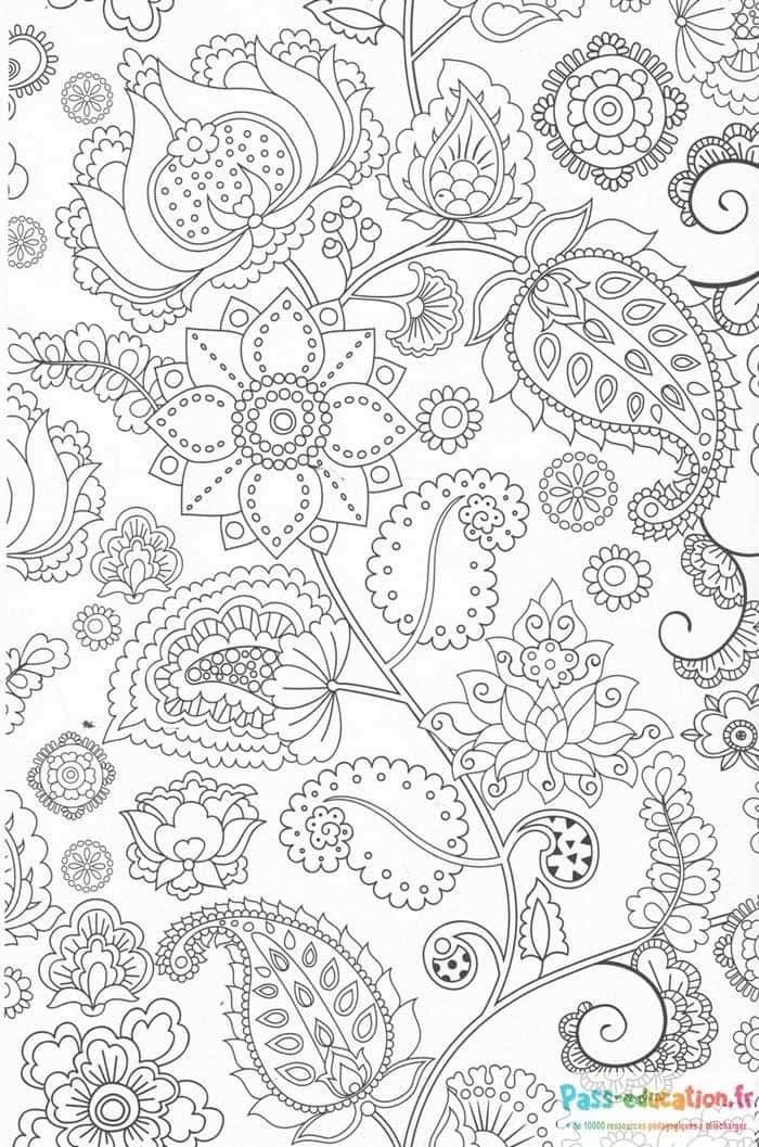 Coloriage Jardin floral anti-stress à imprimer et colorier