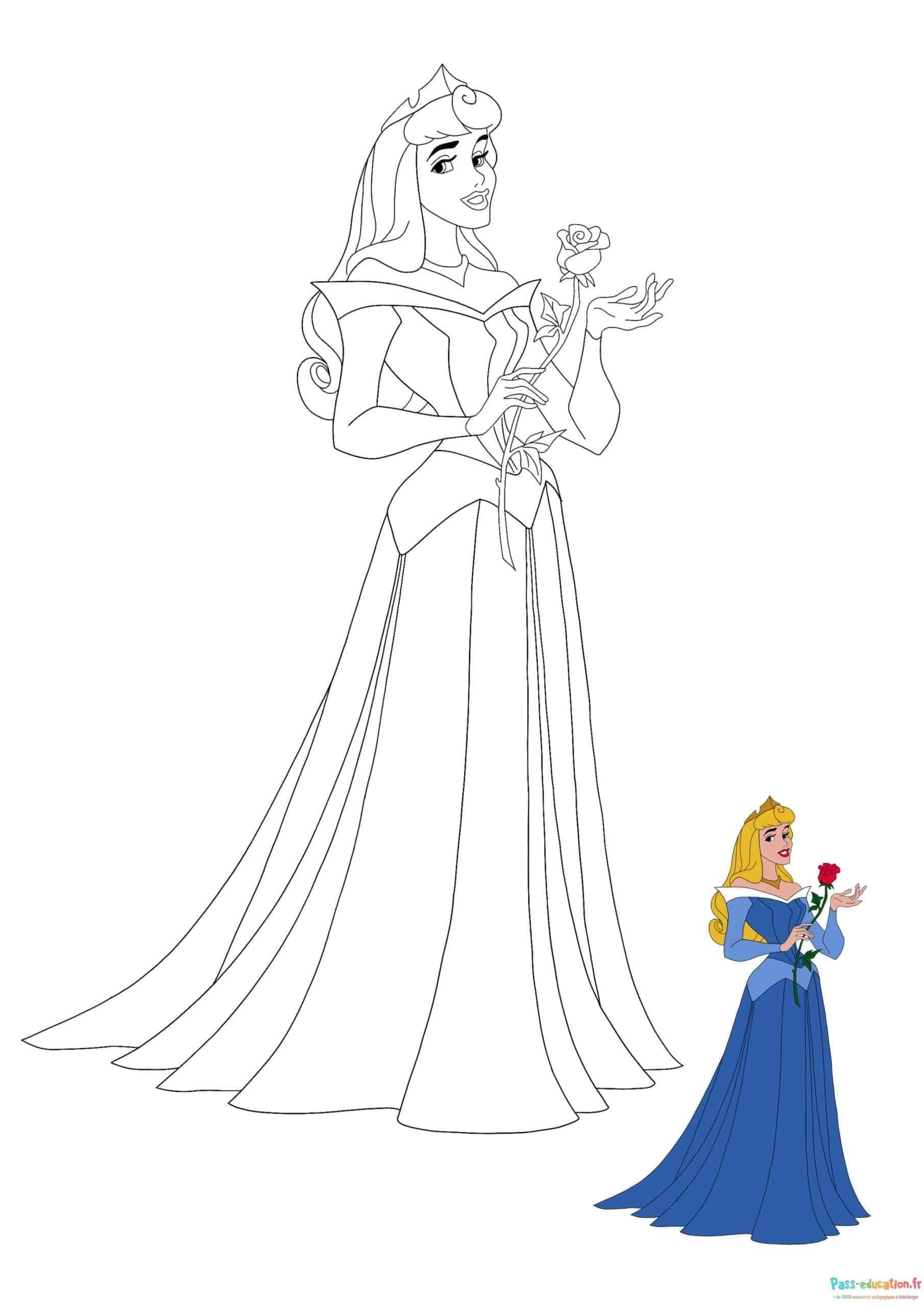 Coloriage Princesse et rose à imprimer et colorier