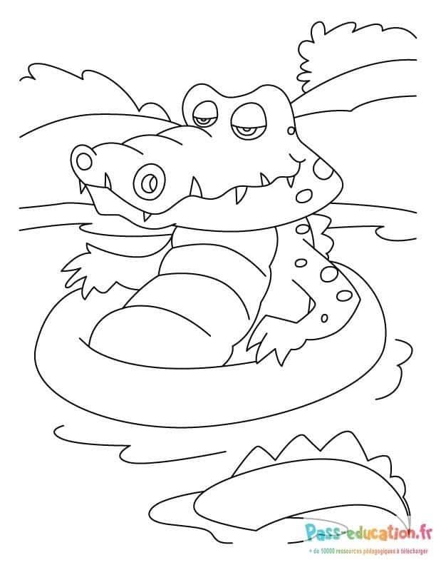 Coloriage Crocodile joyeux à imprimer et colorier