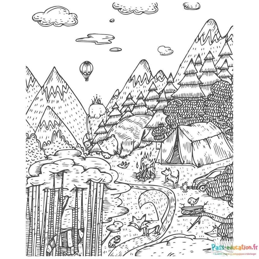 Coloriage Forêt Aventureuse à imprimer et colorier
