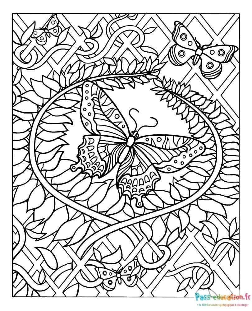 Coloriage Papillons et feuilles à imprimer et colorier