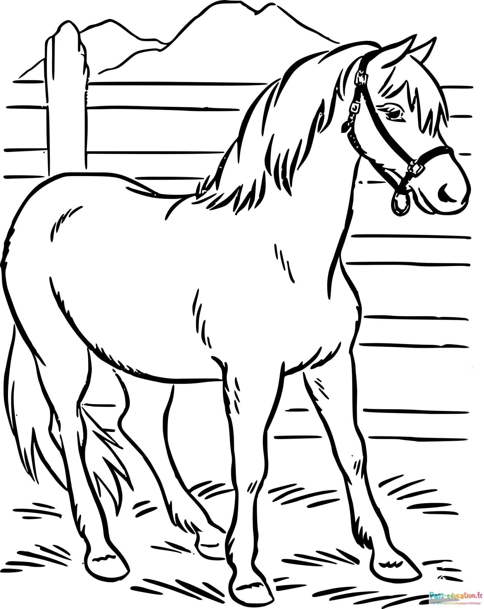 Coloriage Cheval à la ferme à imprimer et colorier
