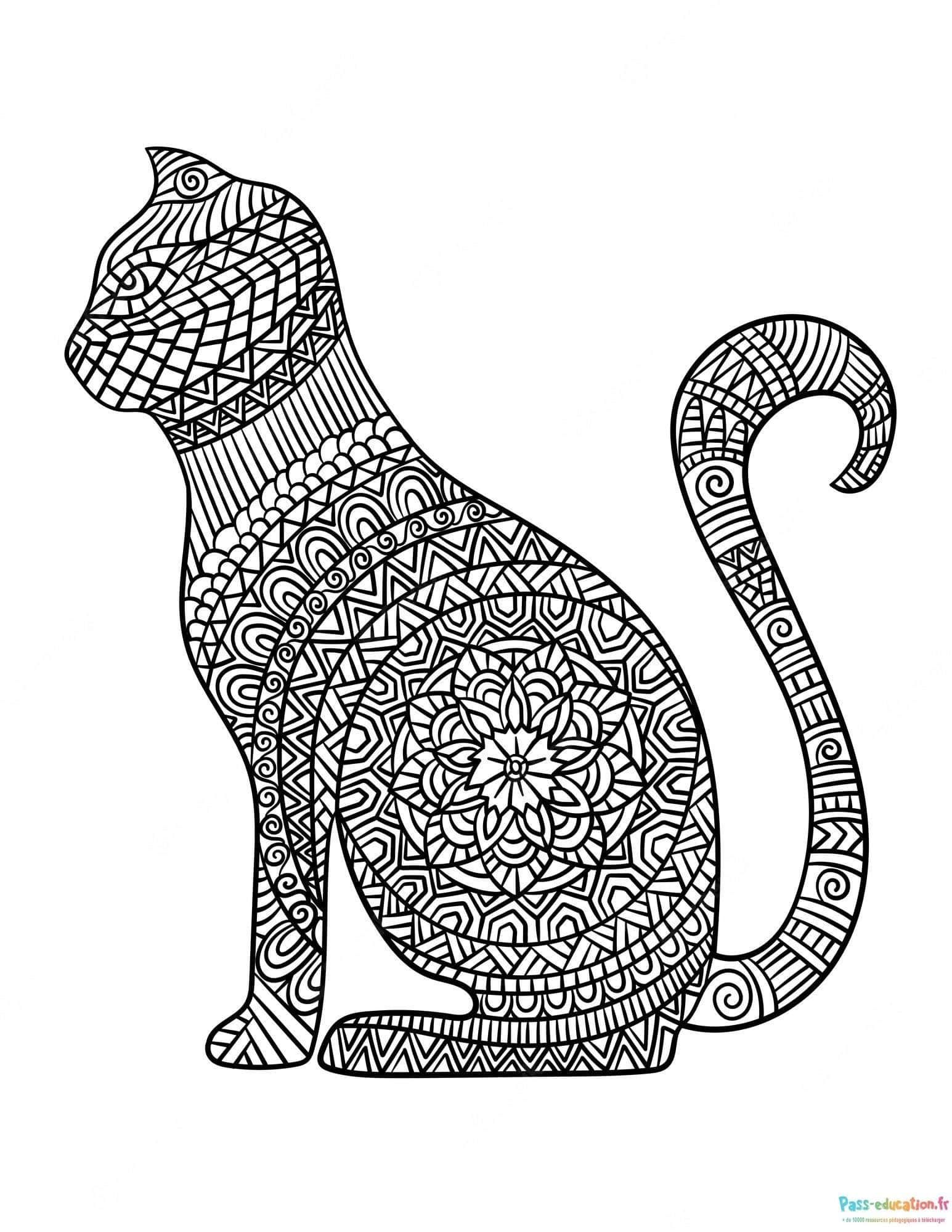 Coloriage Chat mandala à imprimer et colorier