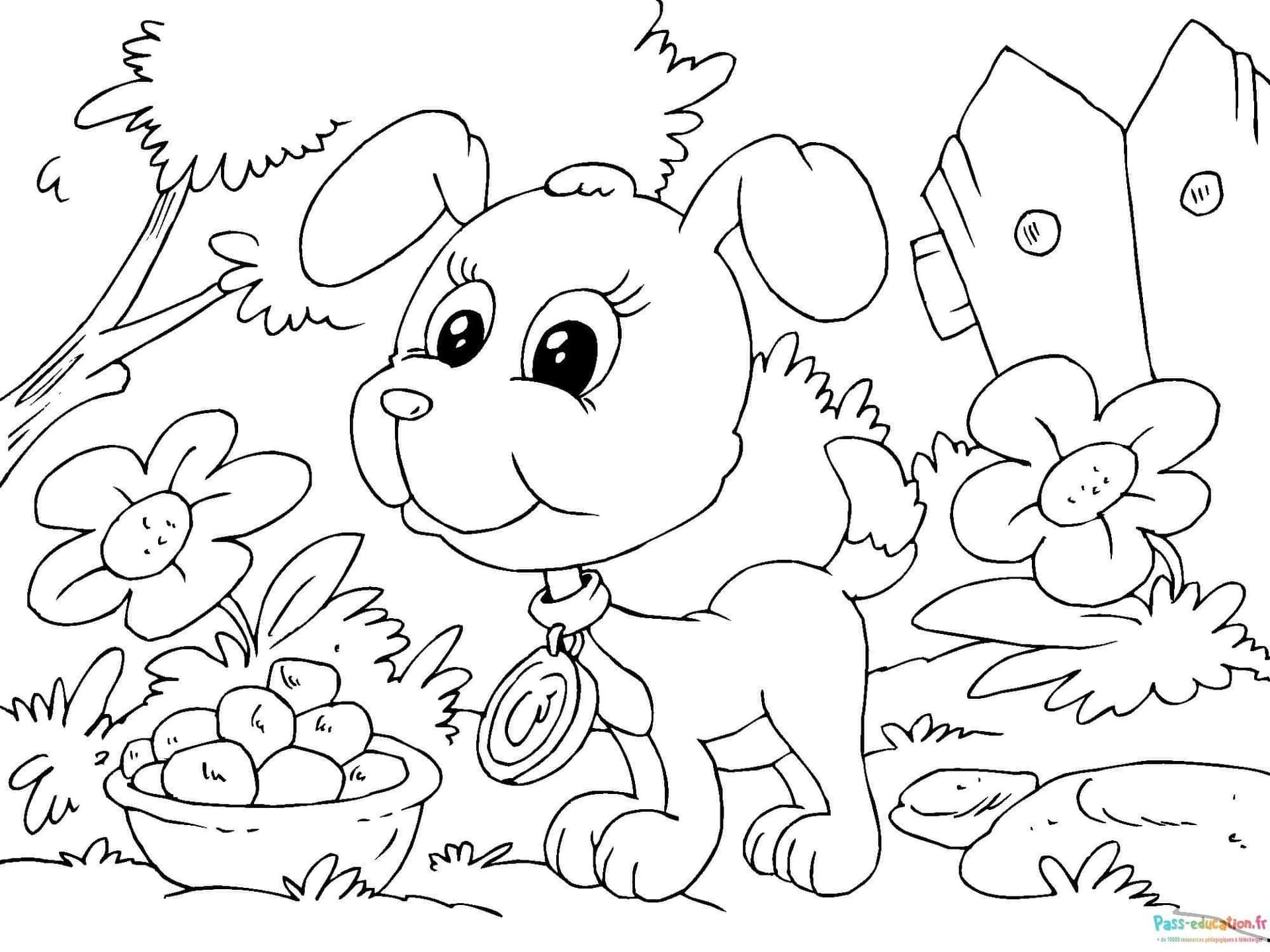 Coloriage Chiot curieux à imprimer et colorier