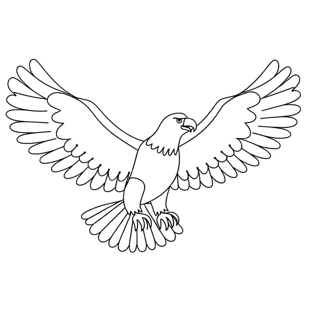 Coloriage Aigle en vol à imprimer et colorier