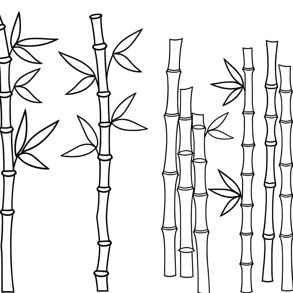Coloriage Bambous zen à imprimer et colorier