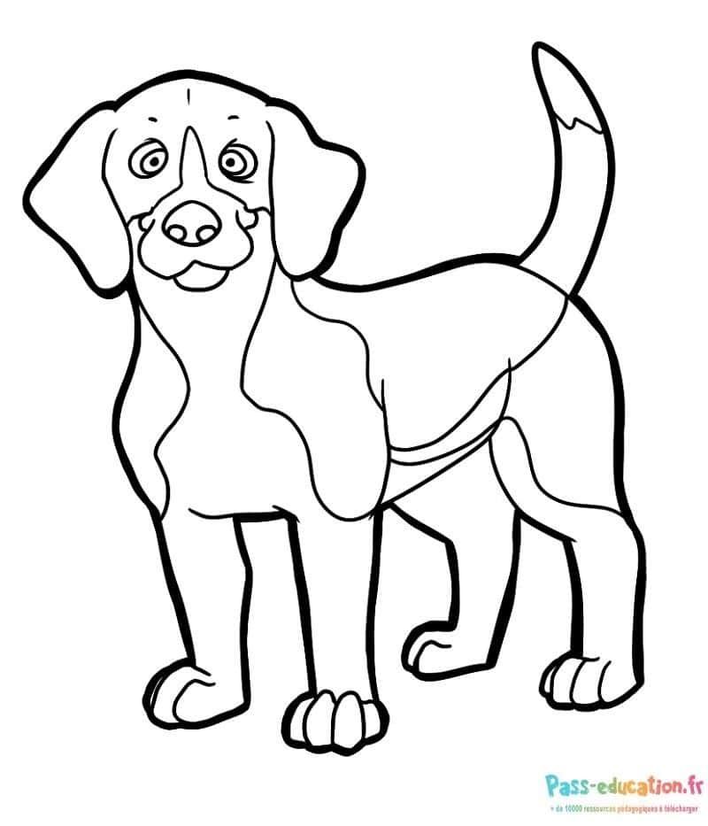 Coloriage Chiot joyeux à imprimer et colorier