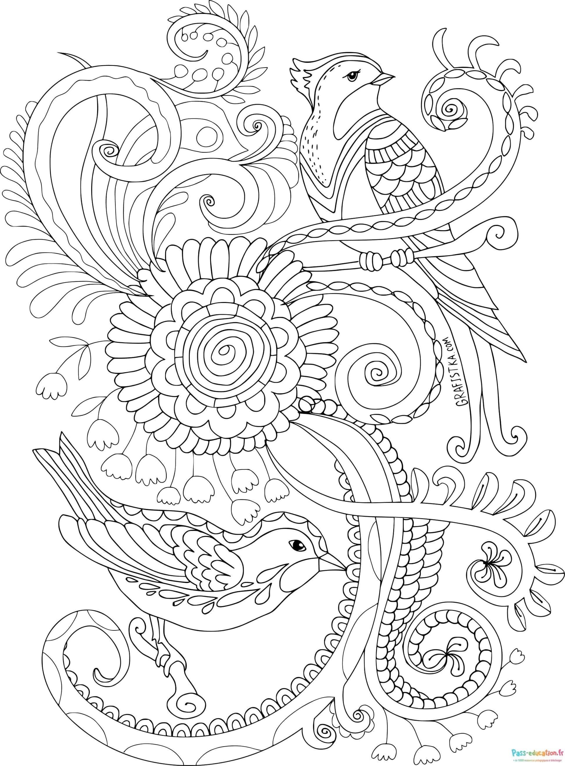 Coloriage Oiseaux Fantaisie à imprimer et colorier