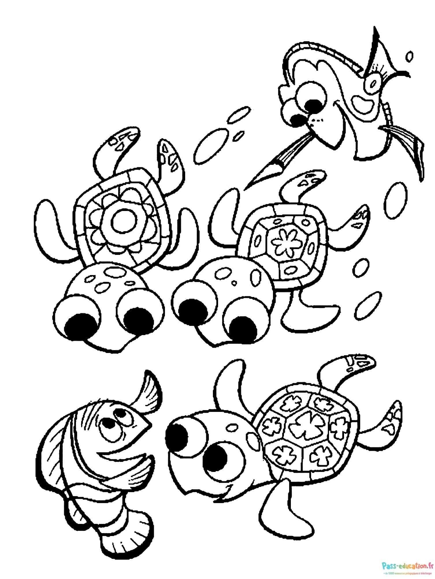 Coloriage Tortues et poissons à imprimer et colorier