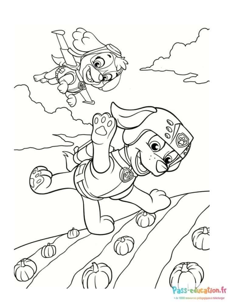 Coloriage Chiots super-héros à imprimer et colorier