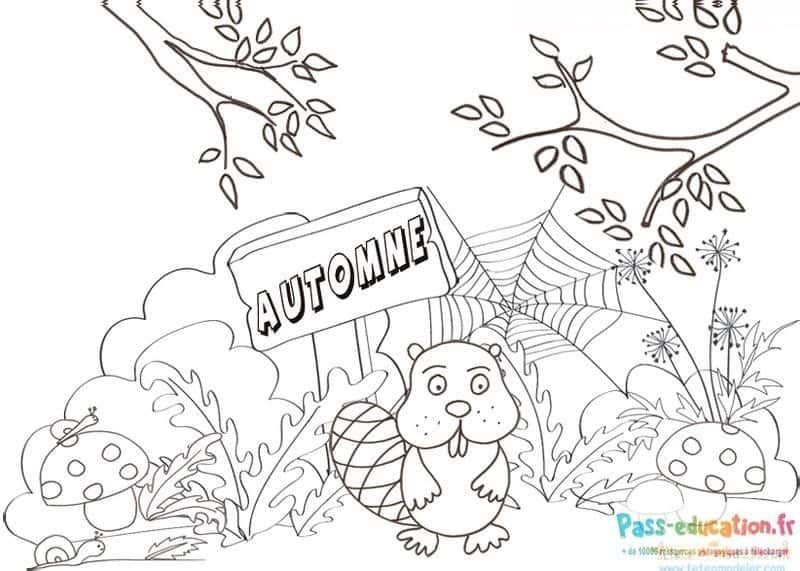 Coloriage Saison d'automne à imprimer et colorier