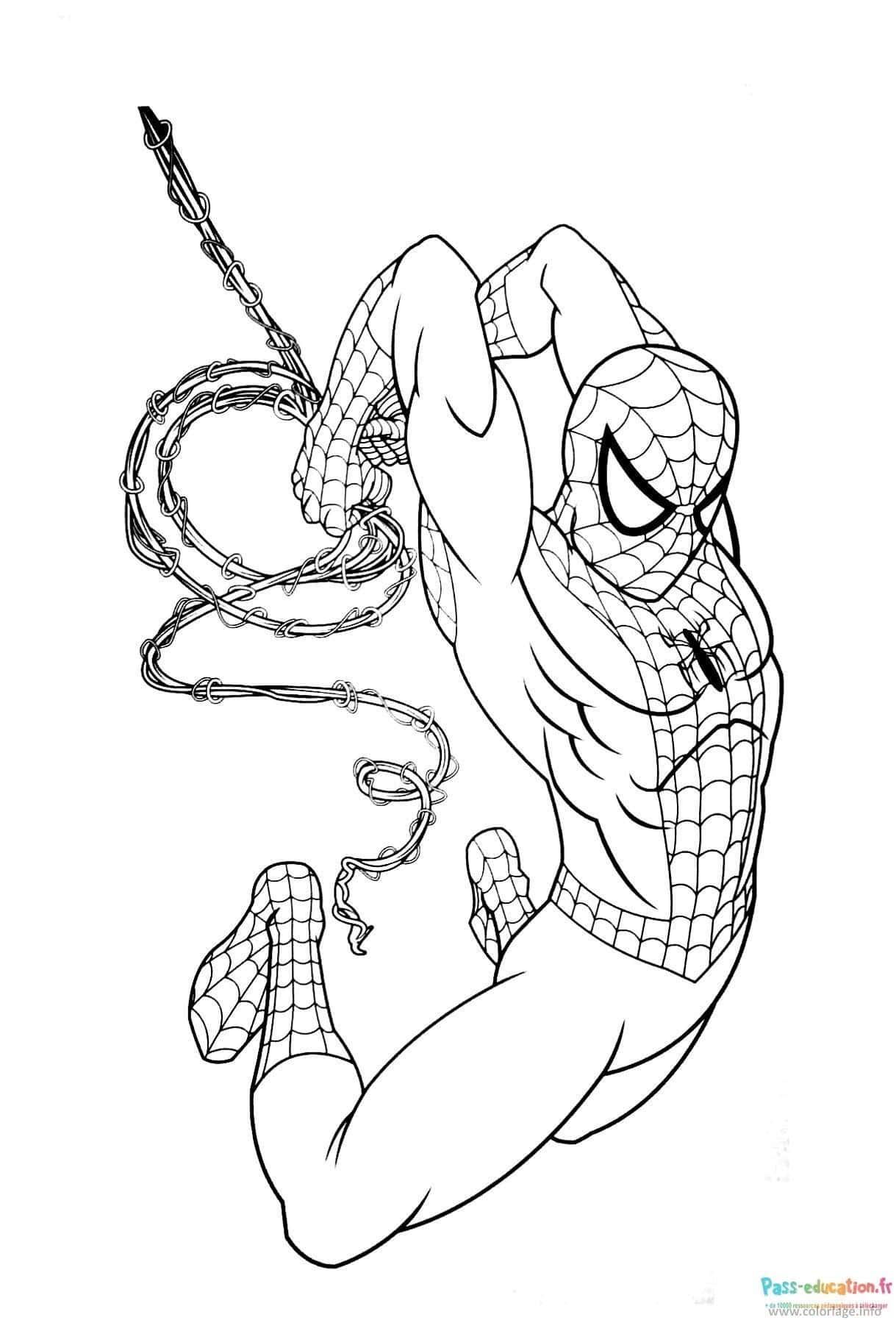 Coloriage Spider-Man en action à imprimer et colorier