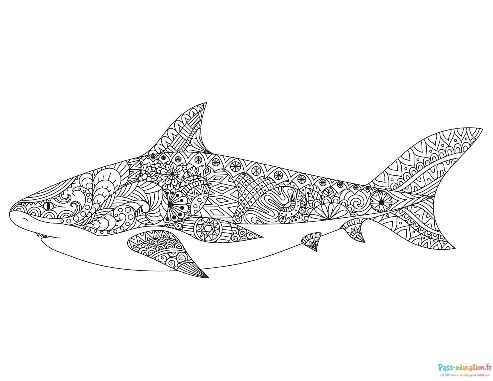 Coloriage Requin mandala à imprimer et colorier