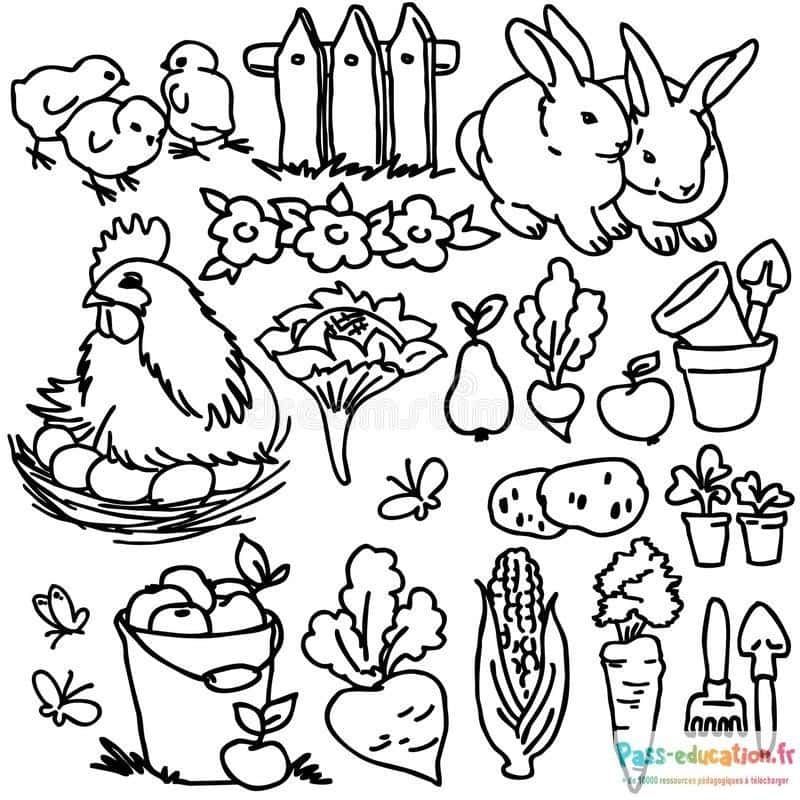 Coloriage Animaux de la ferme à imprimer et colorier