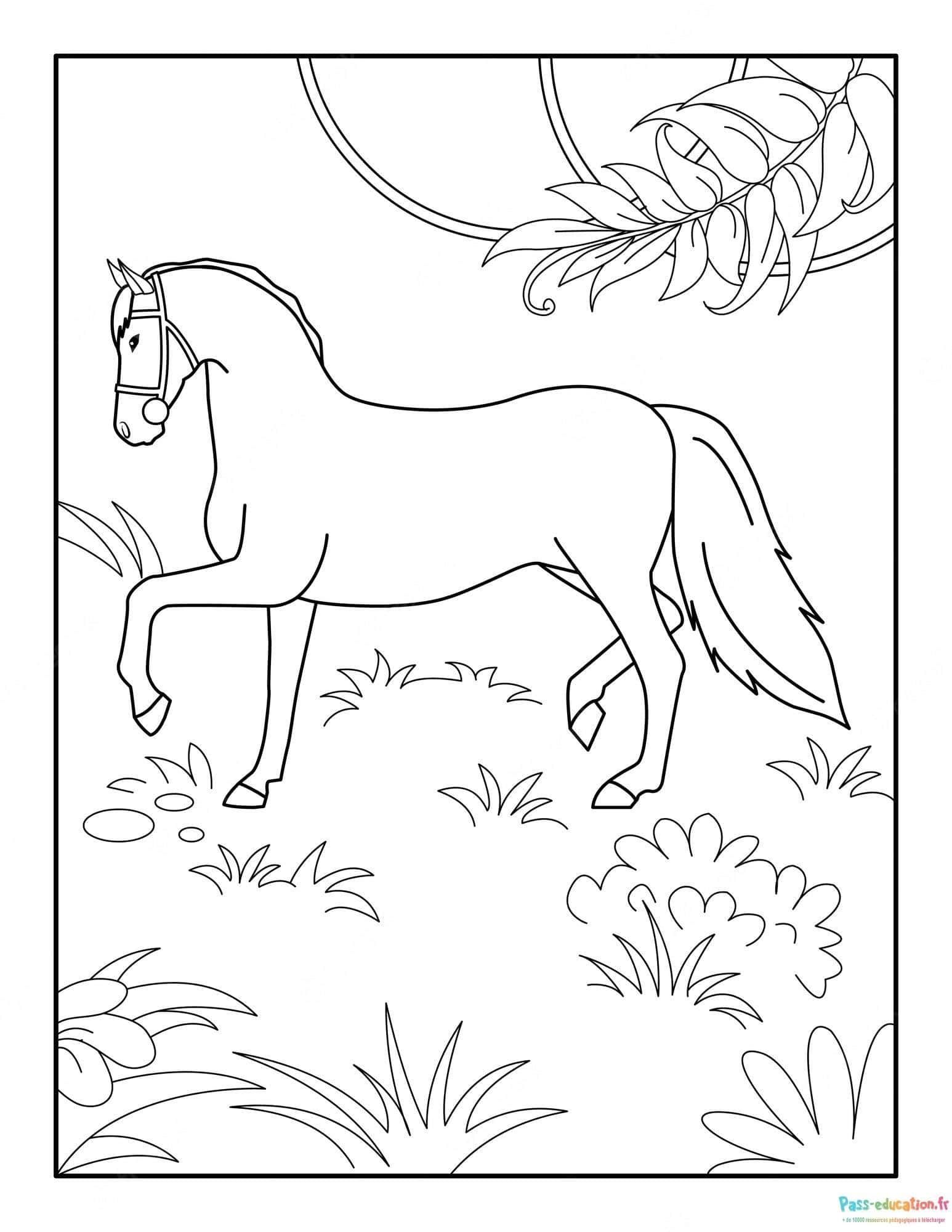 Coloriage Cheval en promenade à imprimer et colorier