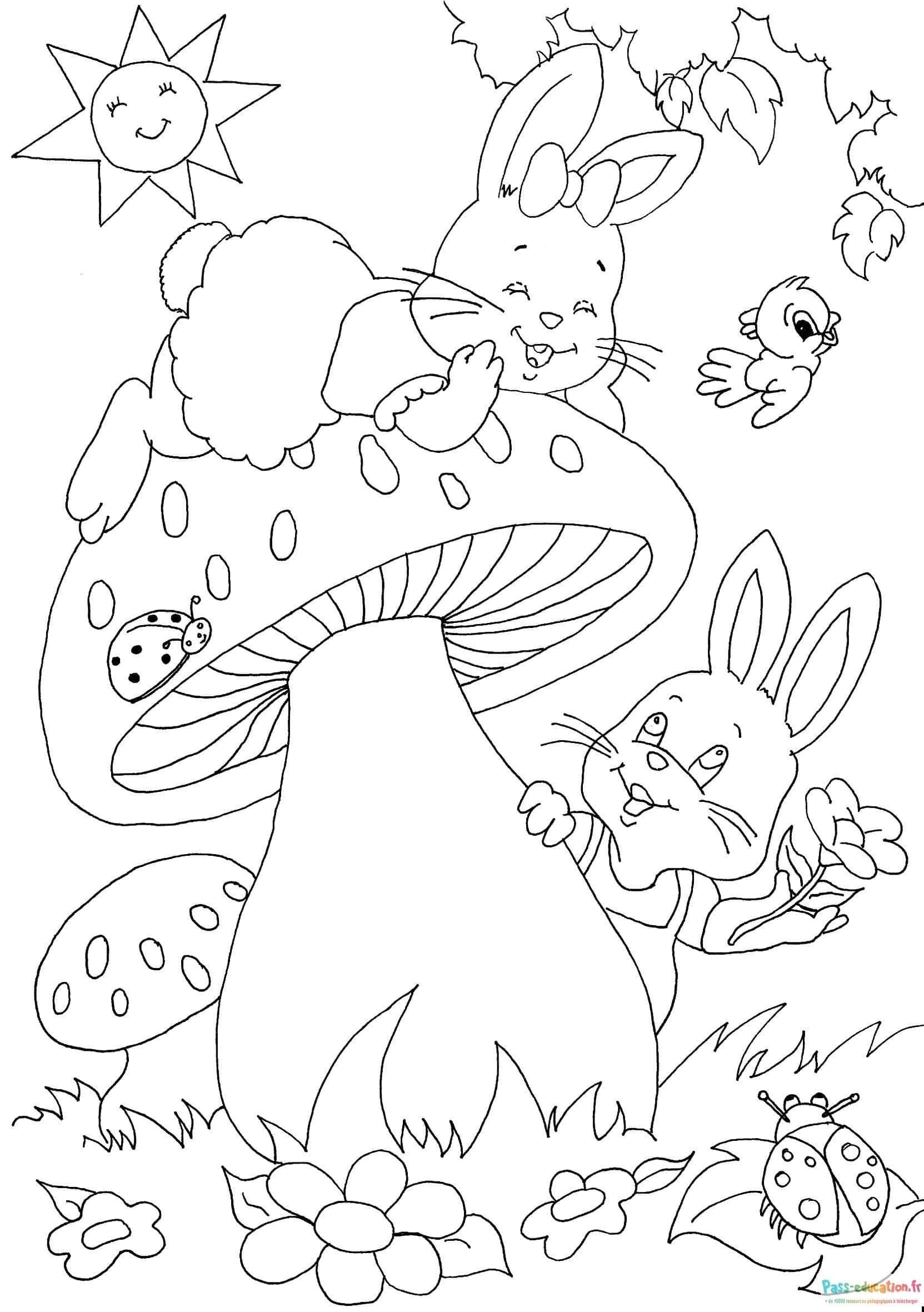 Coloriage Lapins et nature à imprimer et colorier