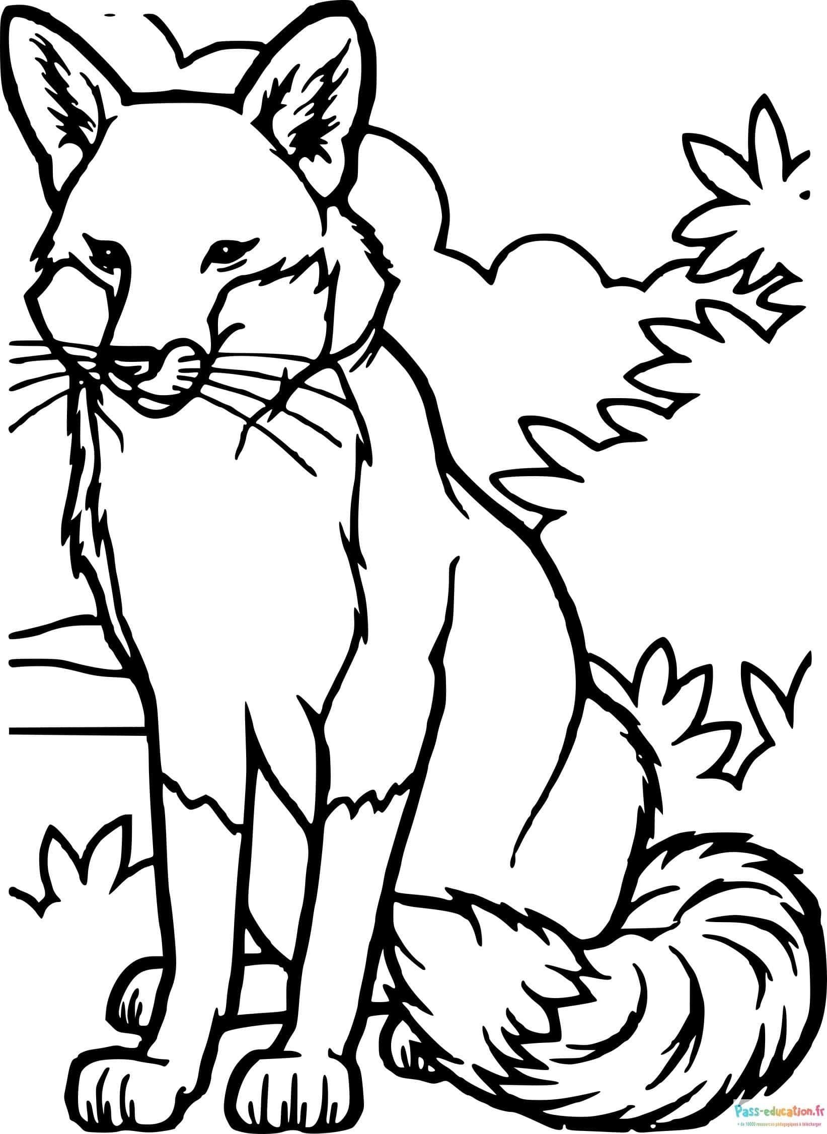 Coloriage Renard assis à imprimer et colorier