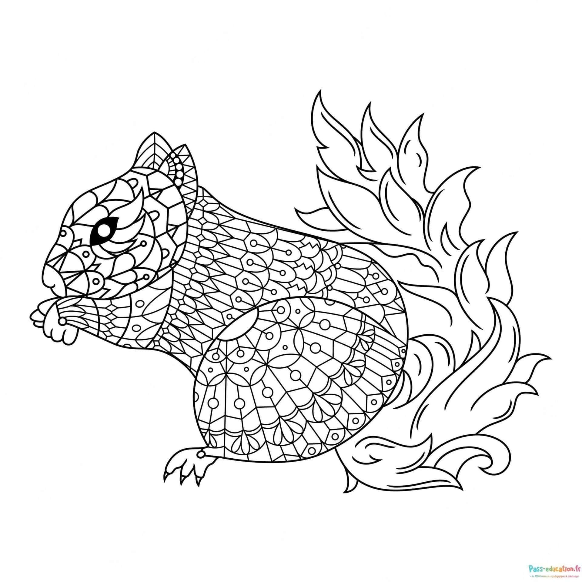 Coloriage Écureuil mandala à imprimer et colorier