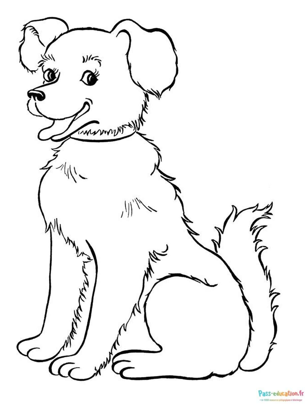 Coloriage Chien joyeux à imprimer et colorier