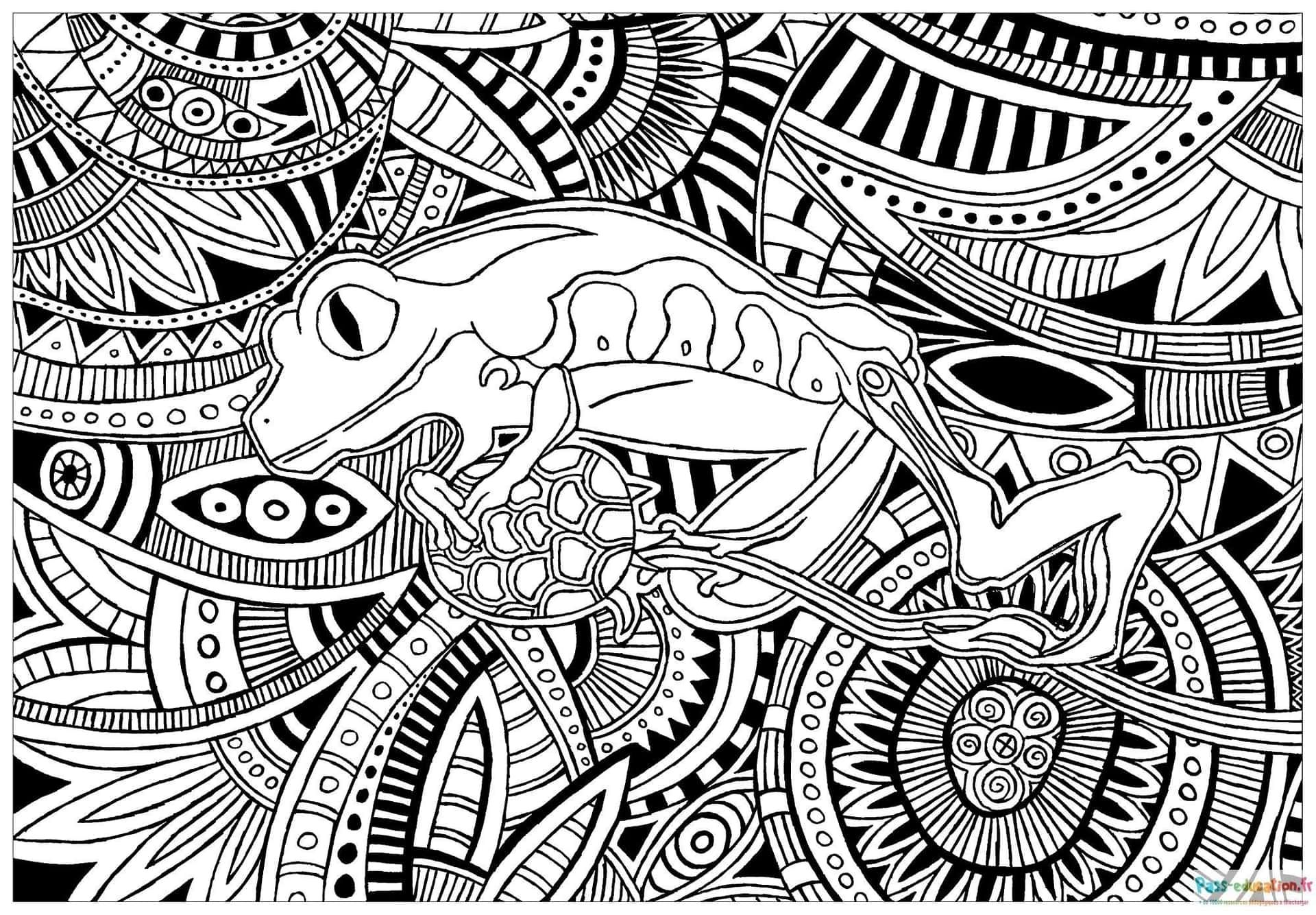 Coloriage Grenouille squelette à imprimer et colorier
