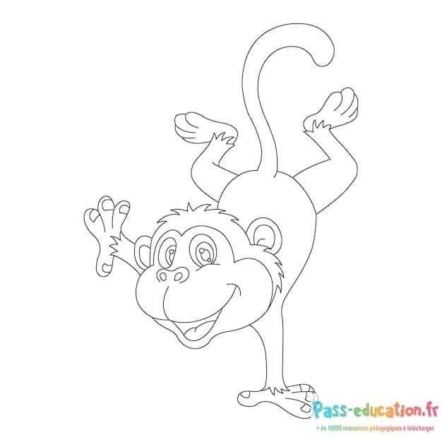 Coloriage Singe joyeux à imprimer et colorier