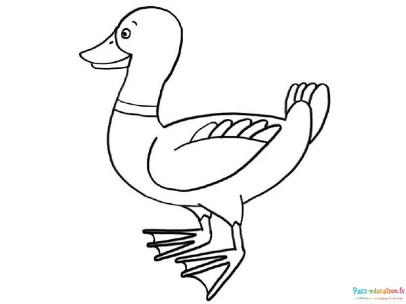 Coloriage Canard souriant à imprimer et colorier