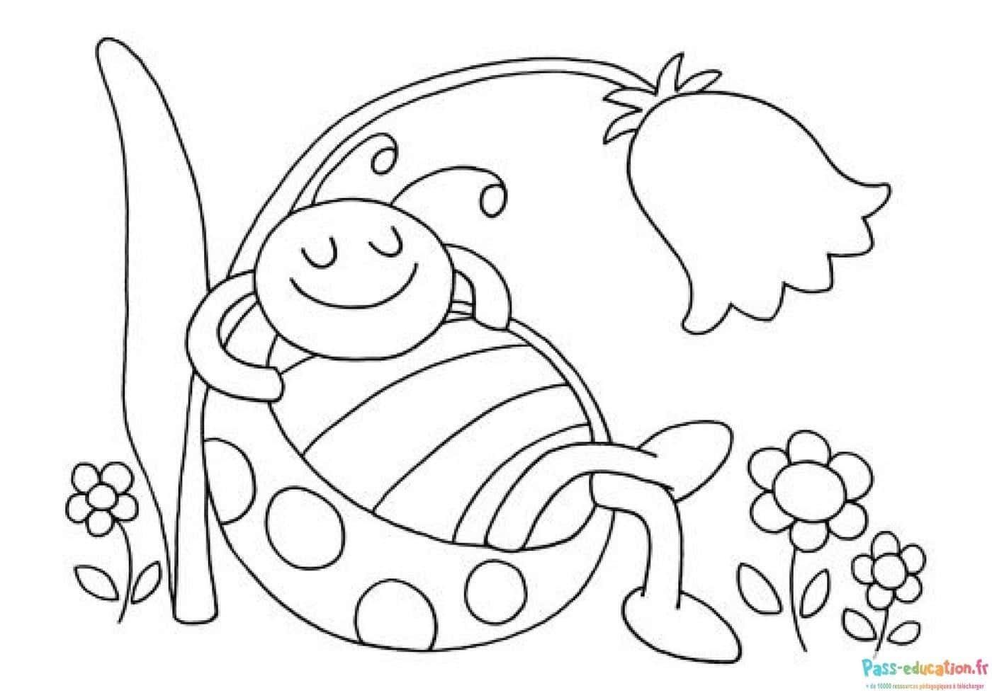 Coloriage Abeille relaxe dans hamac à imprimer et colorier