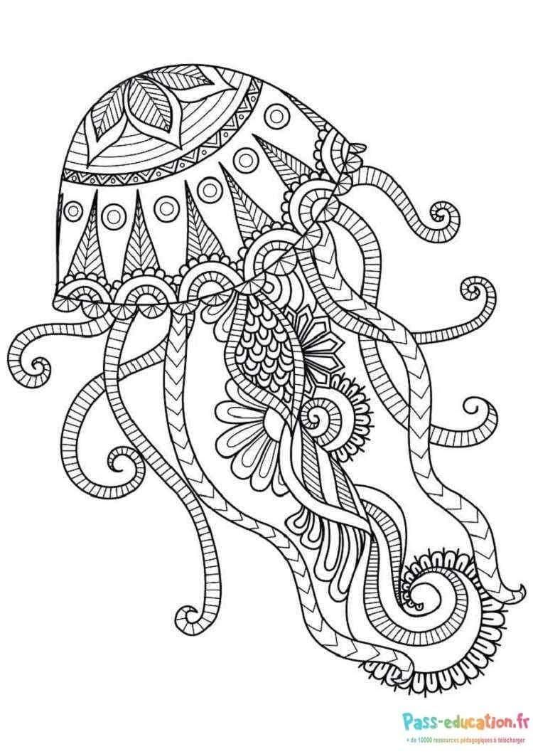 Coloriage Méduse Zen à imprimer et colorier