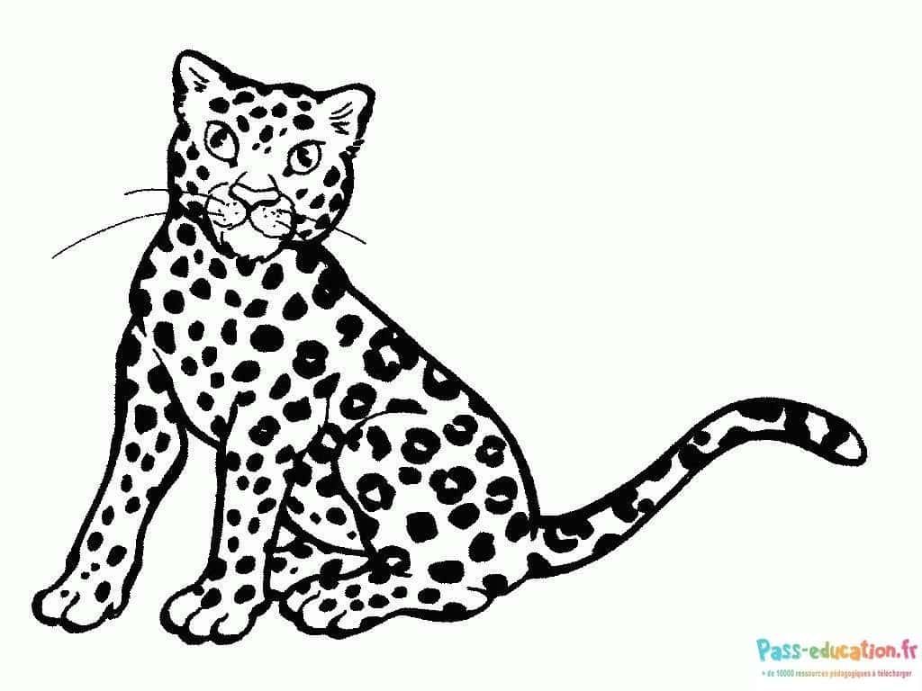 Coloriage Guépard assis à imprimer et colorier