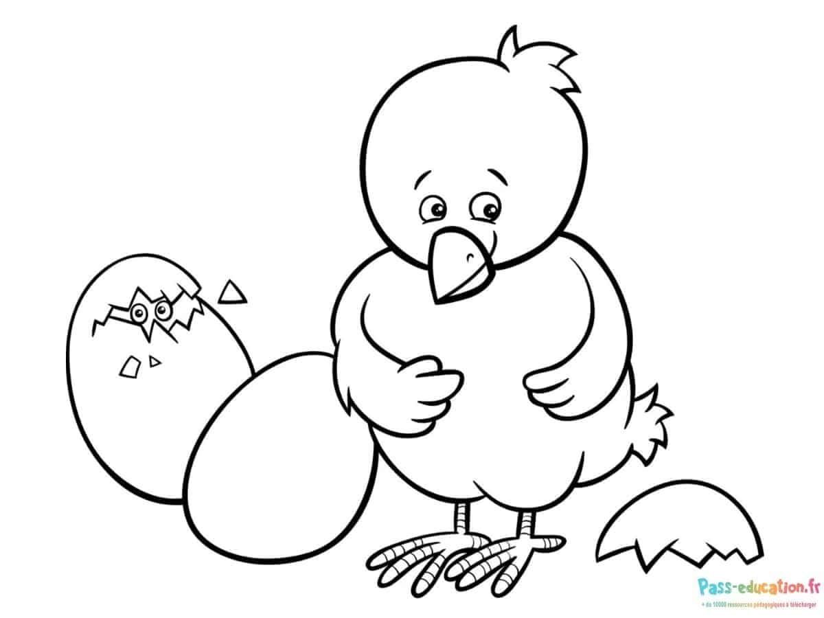 Coloriage Poussin et œuf à imprimer et colorier