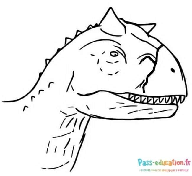 Coloriage Dinosaure carnivore à imprimer et colorier