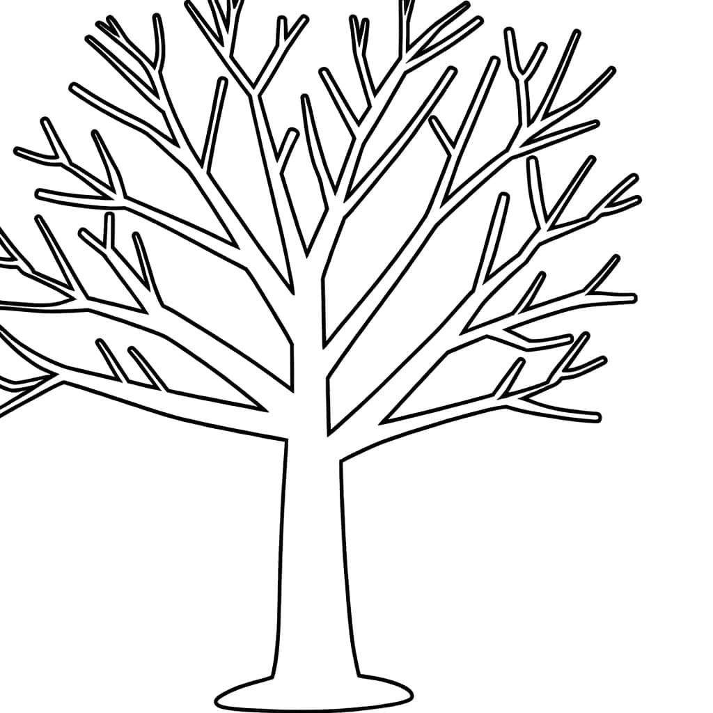 Coloriage Arbre sans feuille à imprimer et colorier