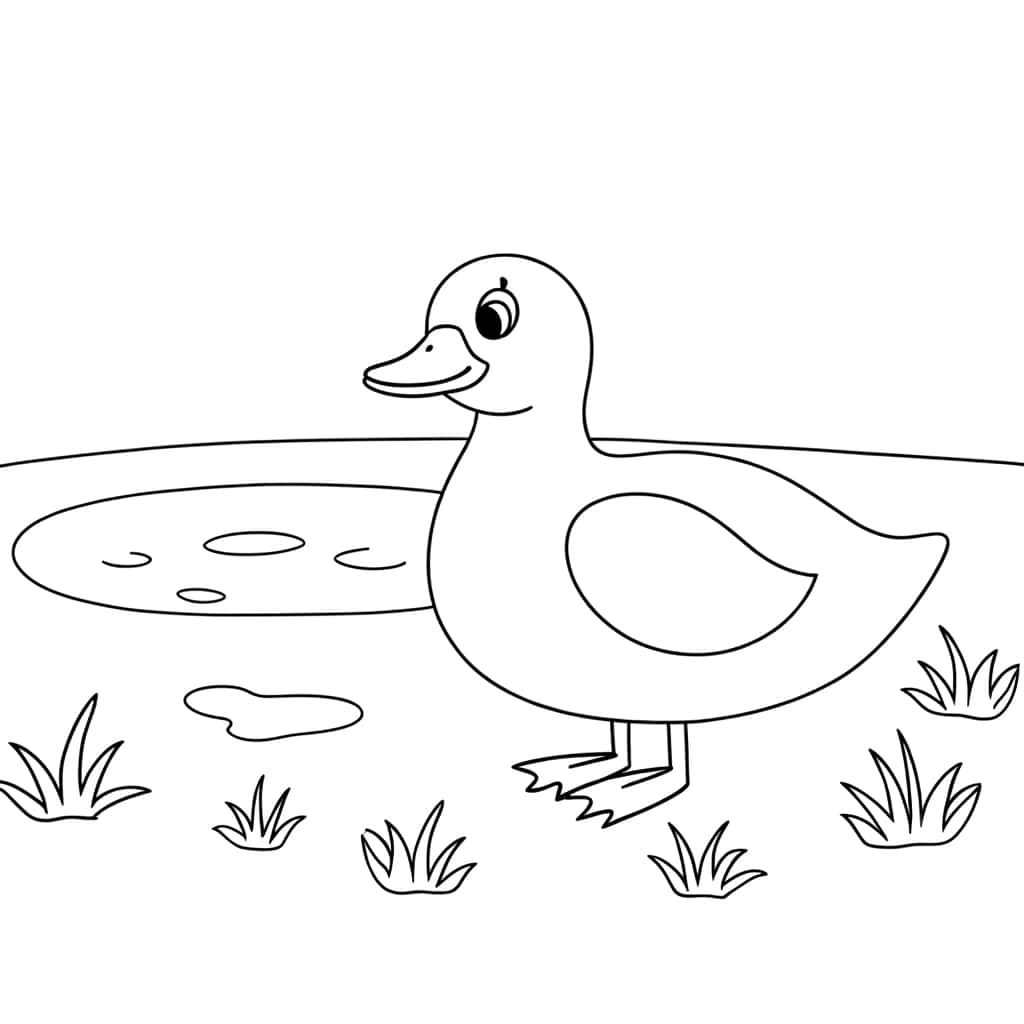 Coloriage Canard au bord de l'eau à imprimer et colorier