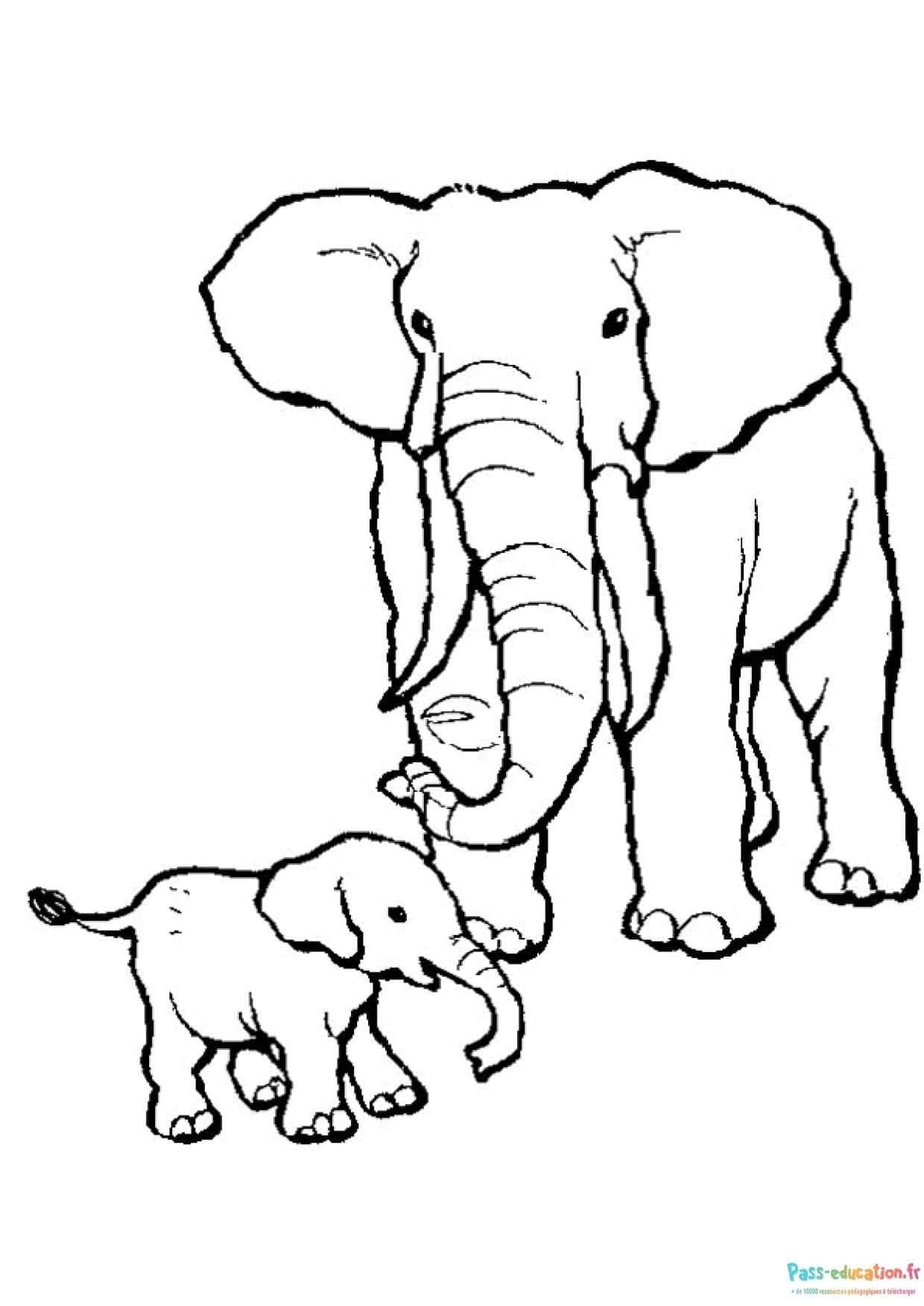 Coloriage Famille d'éléphants à imprimer et colorier
