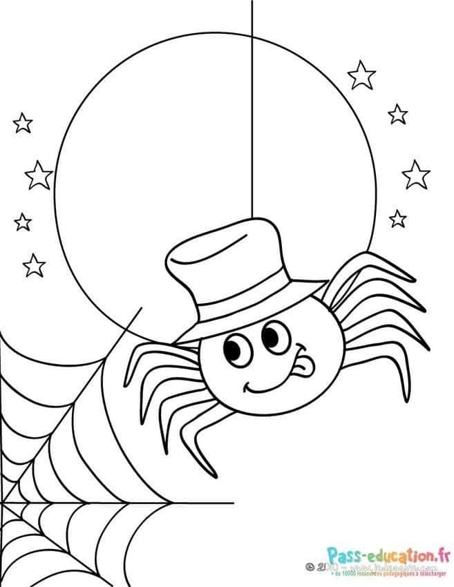 Coloriage Araignée élégante à imprimer et colorier