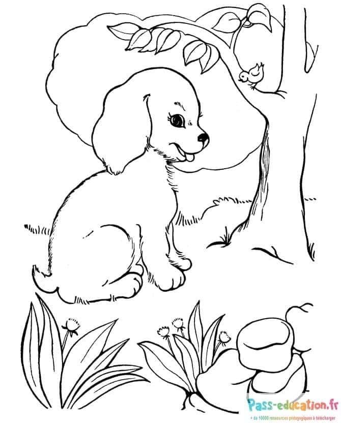 Coloriage Chiot joyeux à imprimer et colorier