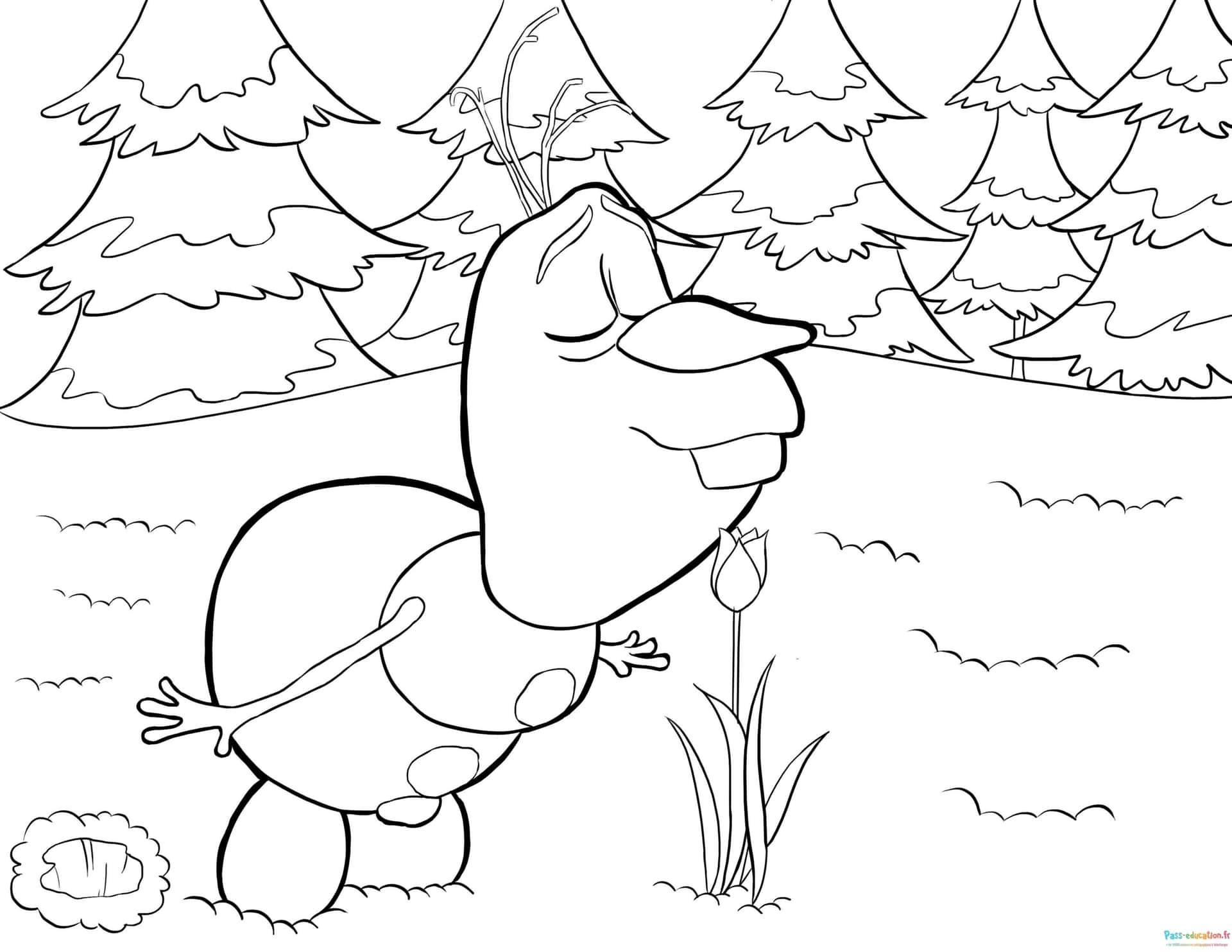 Coloriage Olaf en été à imprimer et colorier
