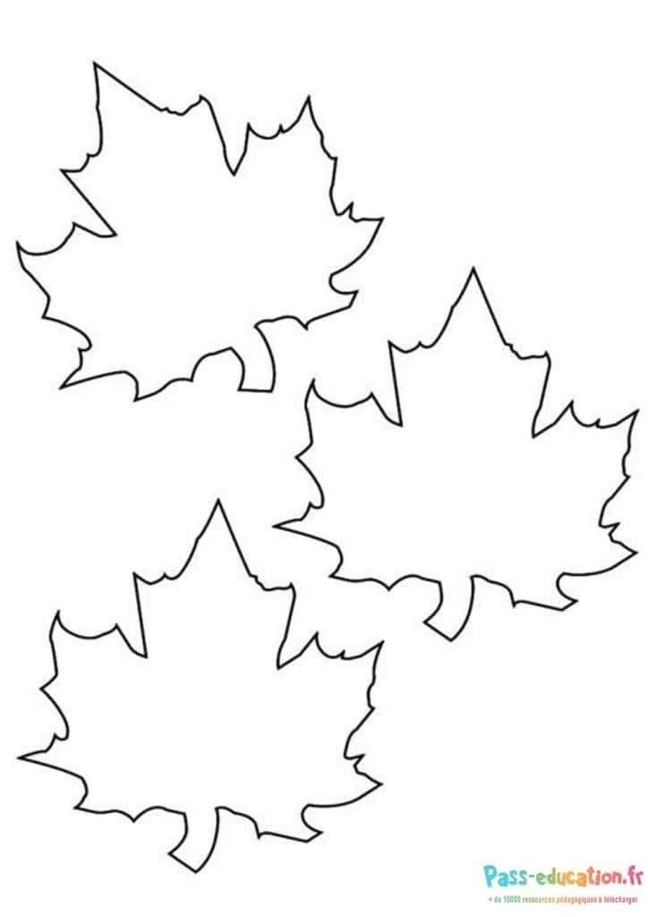 Coloriage Feuilles d'automne à imprimer et colorier