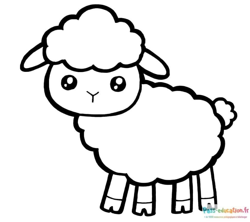 Coloriage Mouton kawaii à imprimer et colorier