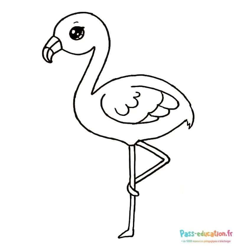Coloriage Flamant rose à imprimer et colorier