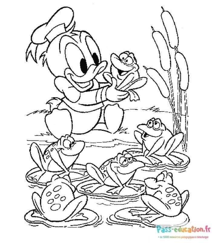 Coloriage Donald et grenouilles à imprimer et colorier