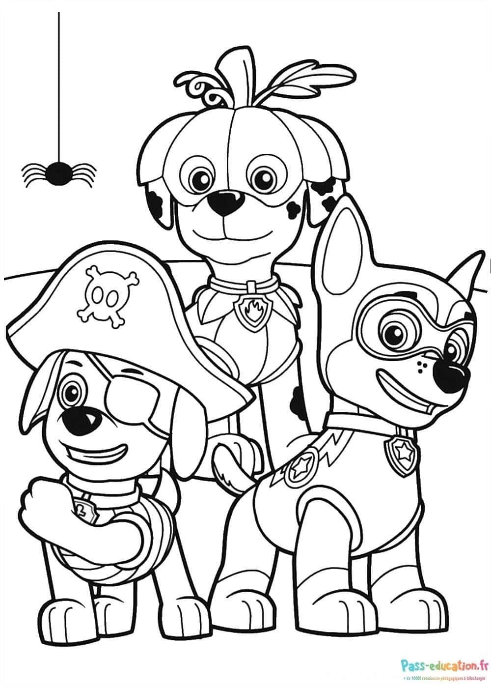 Coloriage Chiens de la Pat' Patrouille à imprimer et colorier