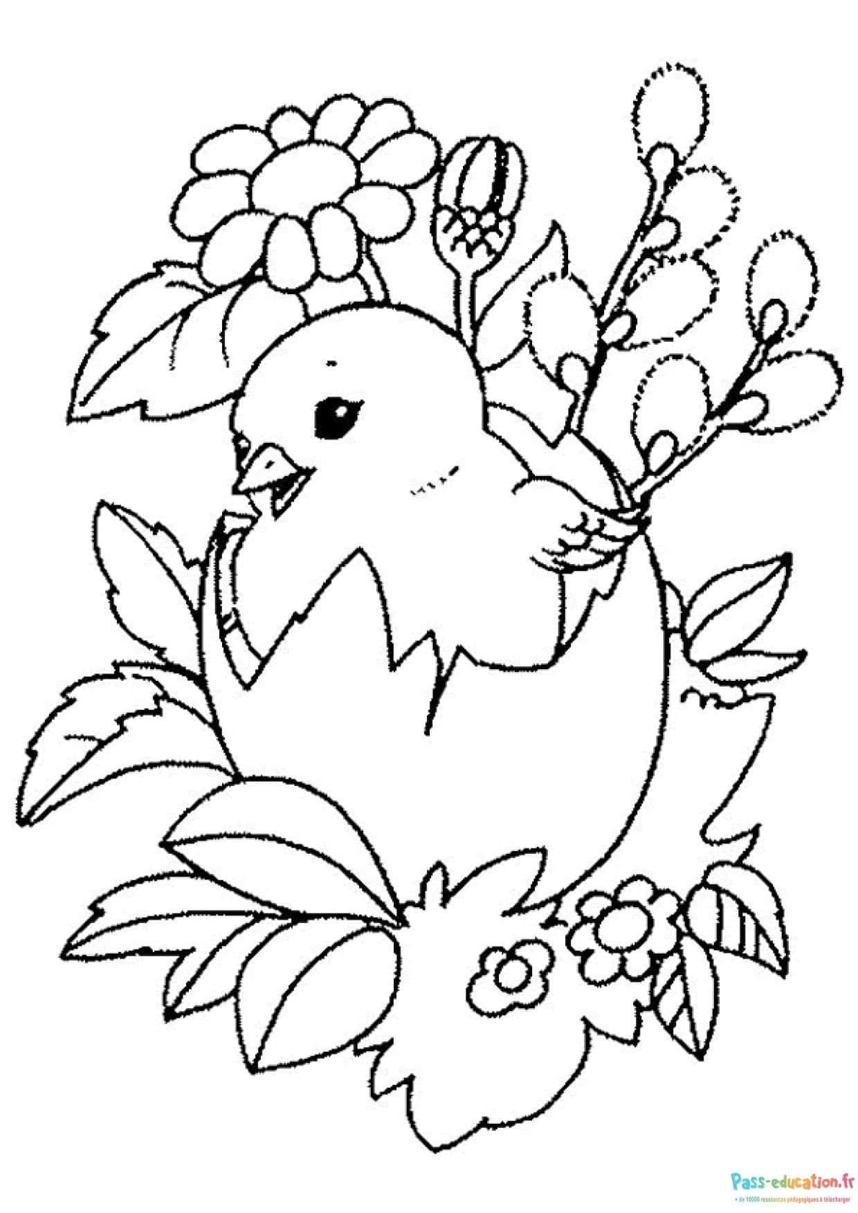 Coloriage Poussin fleuri à imprimer et colorier