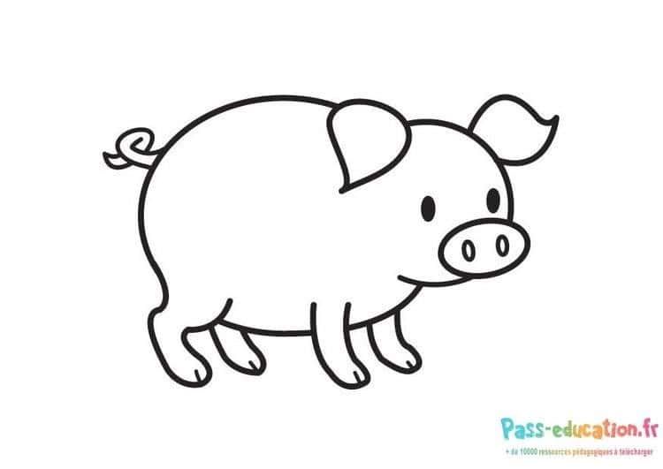 Coloriage Petit cochon à imprimer et colorier
