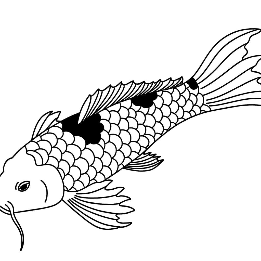 Coloriage Carpe Koi à imprimer et colorier