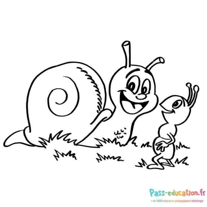 Coloriage Escargot et fourmi à imprimer et colorier