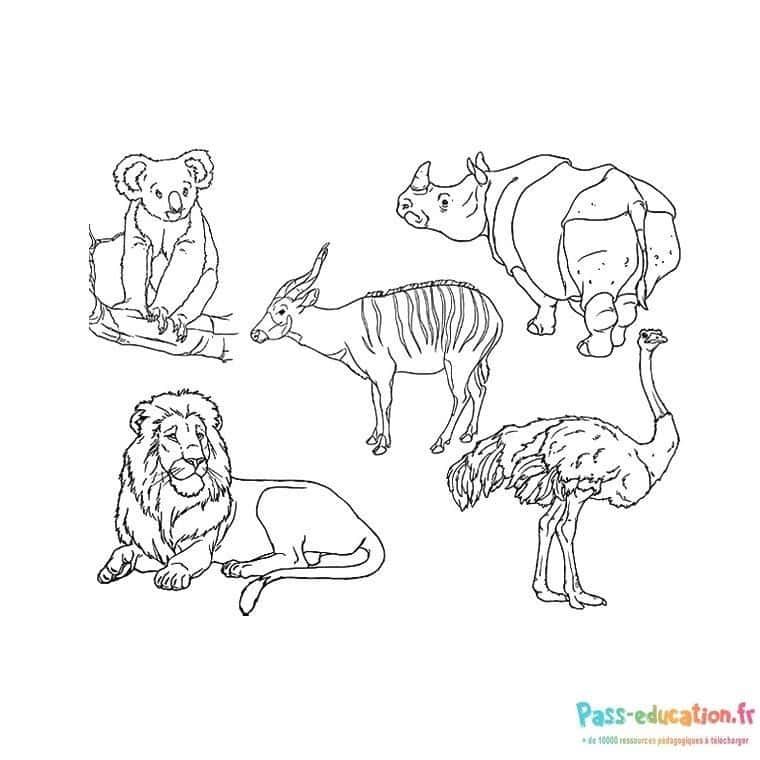Coloriage Animaux sauvages à imprimer et colorier