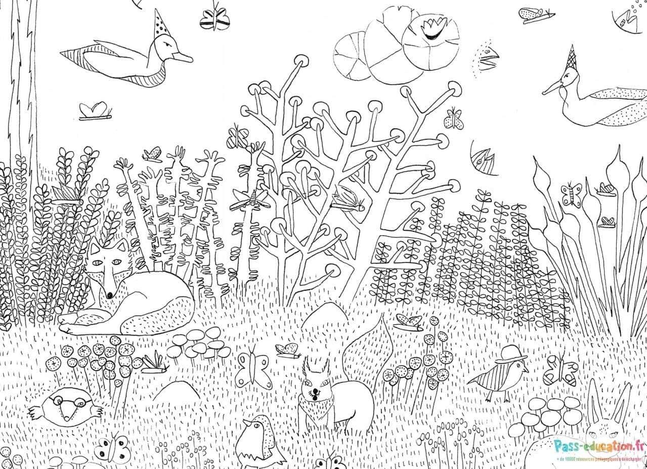 Coloriage Forêt enchantée à imprimer et colorier