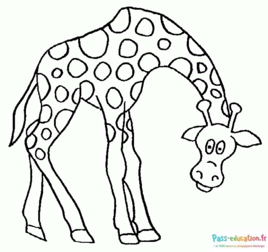 Coloriage Girafe curieuse à imprimer et colorier